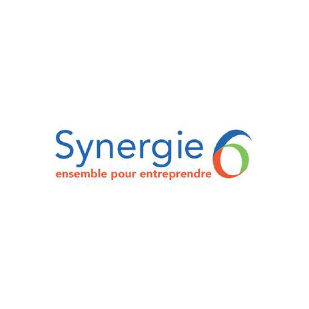 SYNERGIE 6